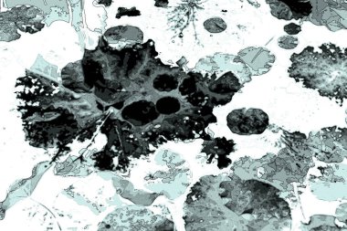 Lotus yaprağı ormanı. Çevre sorunları. Düz dizayn. Yüksek kalite vektör çizimi. Arkaplan deseni.