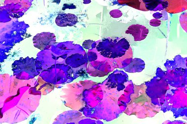 Lotus yaprağı ormanı. Çevre sorunları. Düz dizayn. Yüksek kalite vektör çizimi. Arkaplan deseni.