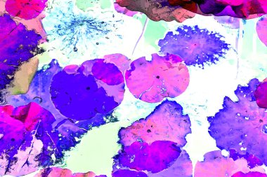 Lotus yaprağı ormanı. Çevre sorunları. Düz dizayn. Yüksek kalite vektör çizimi. Arkaplan deseni.