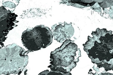 Lotus yaprağı ormanı. Çevre sorunları. Düz dizayn. Yüksek kalite vektör çizimi. Arkaplan deseni.