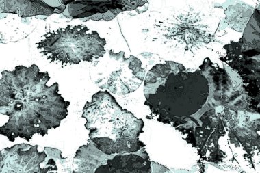 Lotus yaprağı ormanı. Çevre sorunları. Düz dizayn. Yüksek kalite vektör çizimi. Arkaplan deseni.