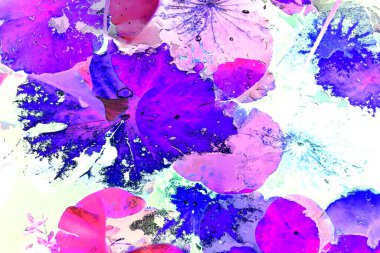 Lotus yaprağı ormanı. Çevre sorunları. Düz dizayn. Yüksek kalite vektör çizimi. Arkaplan deseni.