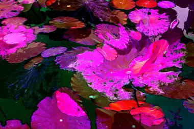 Lotus yaprağı ormanı. Çevre sorunları. Düz dizayn. Yüksek kalite vektör çizimi. Arkaplan deseni.