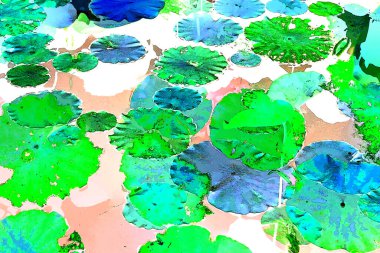 Lotus yaprağı ormanı. Çevre sorunları. Düz dizayn. Yüksek kalite vektör çizimi. Arkaplan deseni.