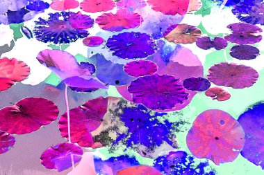 Lotus yaprağı ormanı. Çevre sorunları. Düz dizayn. Yüksek kalite vektör çizimi. Arkaplan deseni.