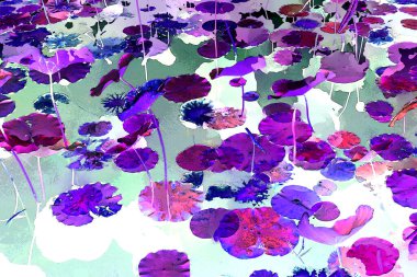 Lotus yaprağı ormanı. Çevre sorunları. Düz dizayn. Yüksek kalite vektör çizimi. Arkaplan deseni.