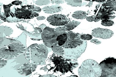 Lotus yaprağı ormanı. Çevre sorunları. Düz dizayn. Yüksek kalite vektör çizimi. Arkaplan deseni.