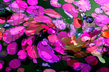 Lotus yaprağı ormanı. Çevre sorunları. Düz dizayn. Yüksek kalite vektör çizimi. Arkaplan deseni.