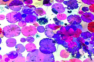 Lotus yaprağı ormanı. Çevre sorunları. Düz dizayn. Yüksek kalite vektör çizimi. Arkaplan deseni.