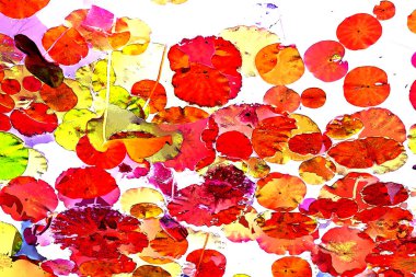 Lotus yaprağı ormanı. Çevre sorunları. Düz dizayn. Yüksek kalite vektör çizimi. Arkaplan deseni.