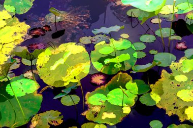 Lotus yaprağı ormanı. Çevre sorunları. Düz dizayn. Yüksek kalite vektör çizimi. Arkaplan deseni.