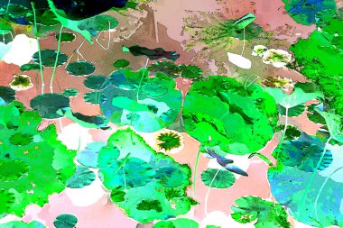 Lotus yaprağı ormanı. Çevre sorunları. Düz dizayn. Yüksek kalite vektör çizimi. Arkaplan deseni.