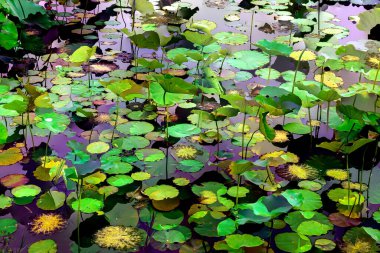 Lotus yaprağı ormanı. Çevre sorunları. Düz dizayn. Yüksek kalite vektör çizimi. Arkaplan deseni.