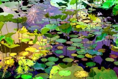 Lotus yaprağı ormanı. Çevre sorunları. Düz dizayn. Yüksek kalite vektör çizimi. Arkaplan deseni.