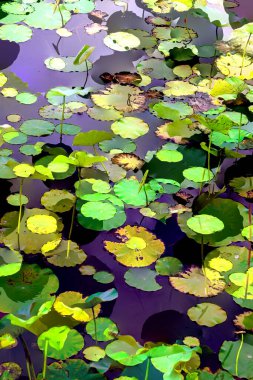 Lotus yaprağı ormanı. Çevre sorunları. Düz dizayn. Yüksek kalite vektör çizimi. Arkaplan deseni.