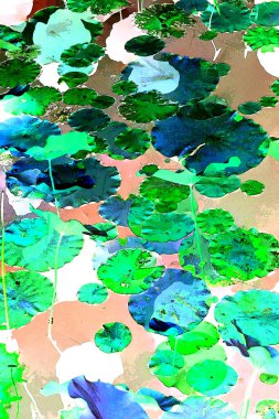 Lotus yaprağı ormanı. Çevre sorunları. Düz dizayn. Yüksek kalite vektör çizimi. Arkaplan deseni.