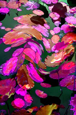 Lotus yaprağı ormanı. Çevre sorunları. Düz dizayn. Yüksek kalite vektör çizimi. Arkaplan deseni.