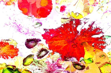 Nilüfer yaprakları, zarif arkaplan deseni