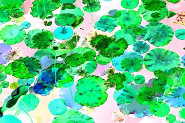 Nilüfer yaprakları, zarif arkaplan deseni