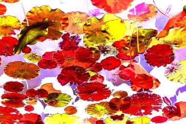 Nilüfer yaprakları, zarif arkaplan deseni