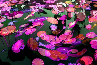 Nilüfer yaprakları, zarif arkaplan deseni