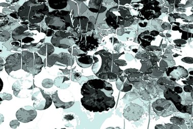 Nilüfer yaprakları, zarif arkaplan deseni