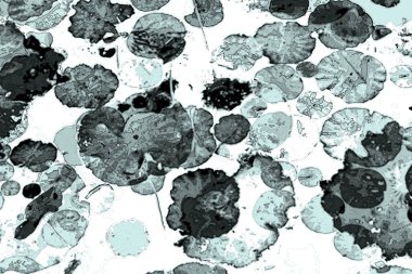 Nilüfer yaprakları, zarif arkaplan deseni