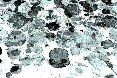 Nilüfer yaprakları, zarif arkaplan deseni