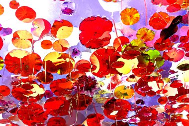 Nilüfer yaprakları, zarif arkaplan deseni