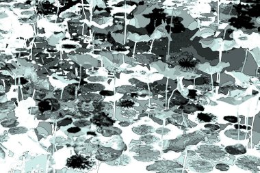 Nilüfer yaprakları, zarif arkaplan deseni