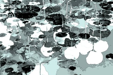 Nilüfer yaprakları, zarif arkaplan deseni