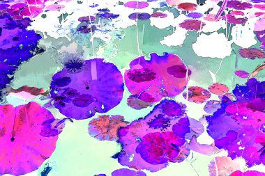 Nilüfer yaprakları, zarif arkaplan deseni