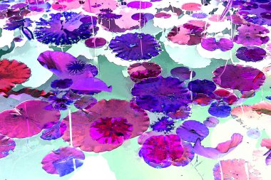 Nilüfer yaprakları, zarif arkaplan deseni