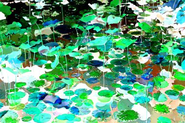 Nilüfer yaprakları, zarif arkaplan deseni