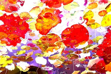 Nilüfer yaprakları, zarif arkaplan deseni