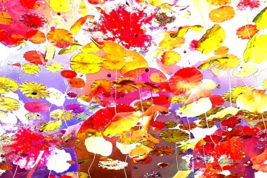 Nilüfer yaprakları, zarif arkaplan deseni