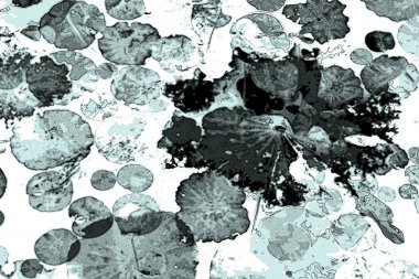 Nilüfer yaprakları, zarif arkaplan deseni