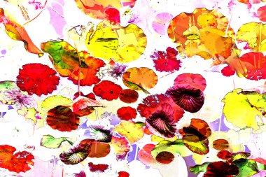 Nilüfer yaprakları, zarif arkaplan deseni