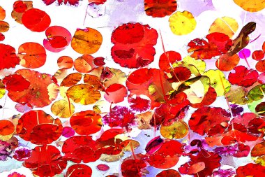 Nilüfer yaprakları, zarif arkaplan deseni