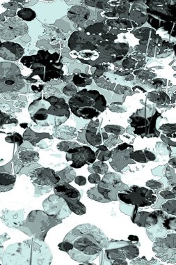 Nilüfer yaprakları, zarif arkaplan deseni