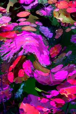 Nilüfer yaprakları, zarif arkaplan deseni