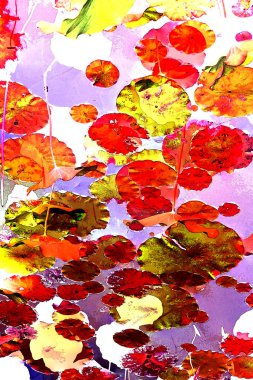 Nilüfer yaprakları, zarif arkaplan deseni