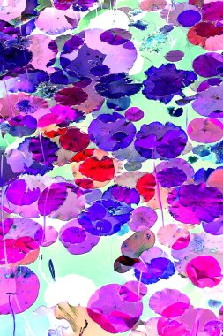 Nilüfer yaprakları, zarif arkaplan deseni