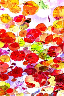 Nilüfer yaprakları, zarif arkaplan deseni