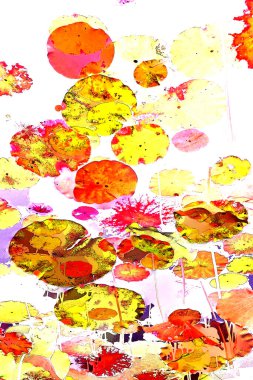 Nilüfer yaprakları, zarif arkaplan deseni