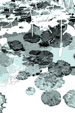 Nilüfer yaprakları, zarif arkaplan deseni