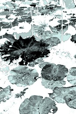 Nilüfer yaprakları, zarif arkaplan deseni