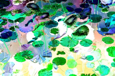 Nilüfer yaprakları, zarif arkaplan deseni