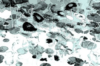 Nilüfer yaprakları, zarif arkaplan deseni