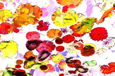 Nilüfer yaprakları, zarif arkaplan deseni